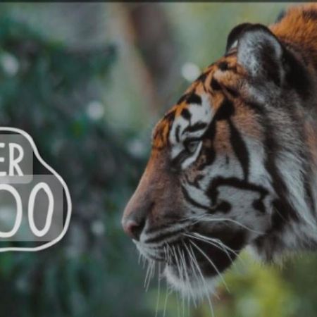 The Beautiful Bungalow Amazing Location For Chester & Zoo Wervin Exterior photo